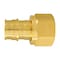 Apollo Apollo Expansion PEX / Pex A 3/4 in. Expansion PEX in to X 3/4 in. D FPT Brass Female Adapter EPXFA34S - alternate 1